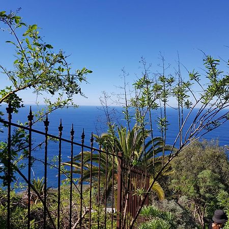 Villa Larnia De Tenerife Саузал Екстериор снимка