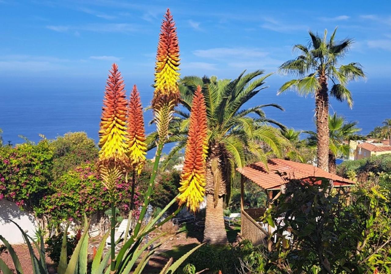 Villa Larnia De Tenerife Саузал Екстериор снимка