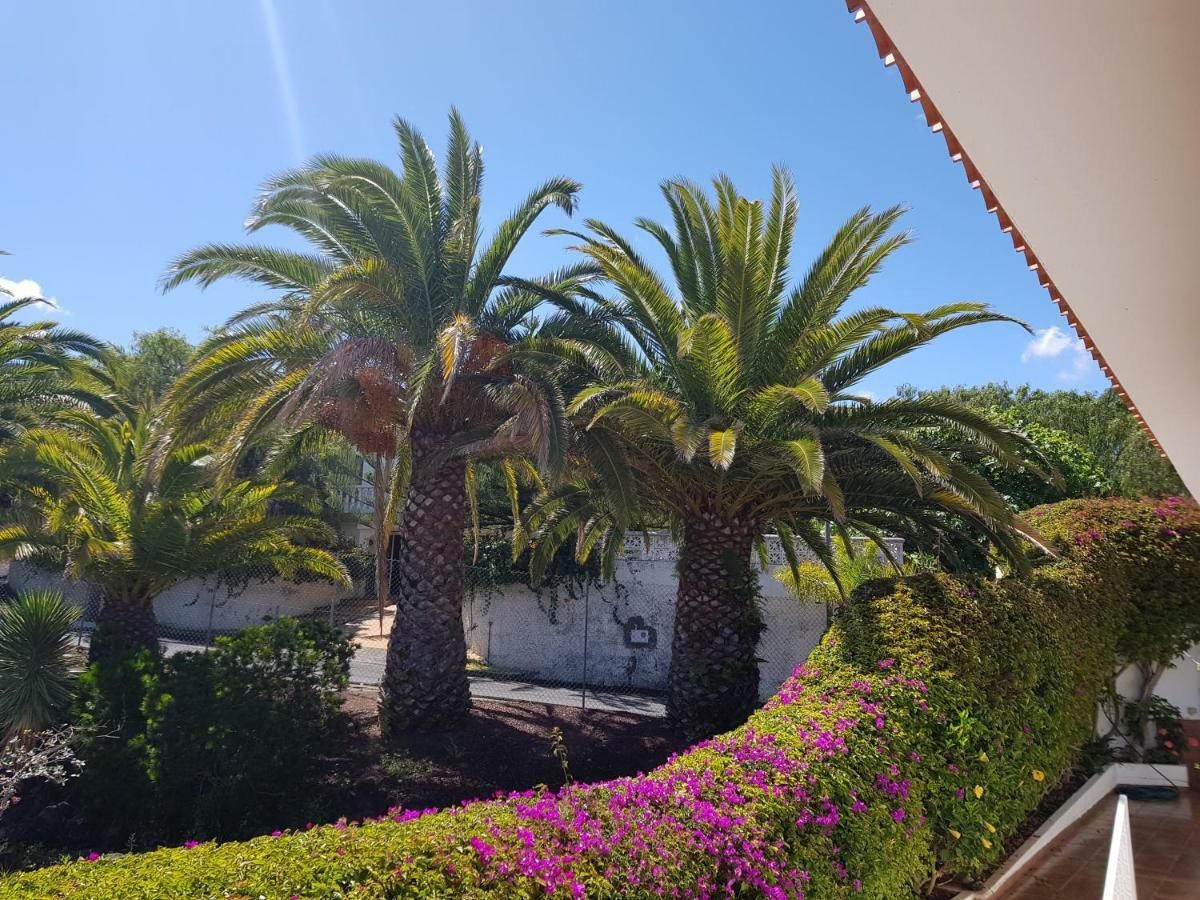 Villa Larnia De Tenerife Саузал Екстериор снимка