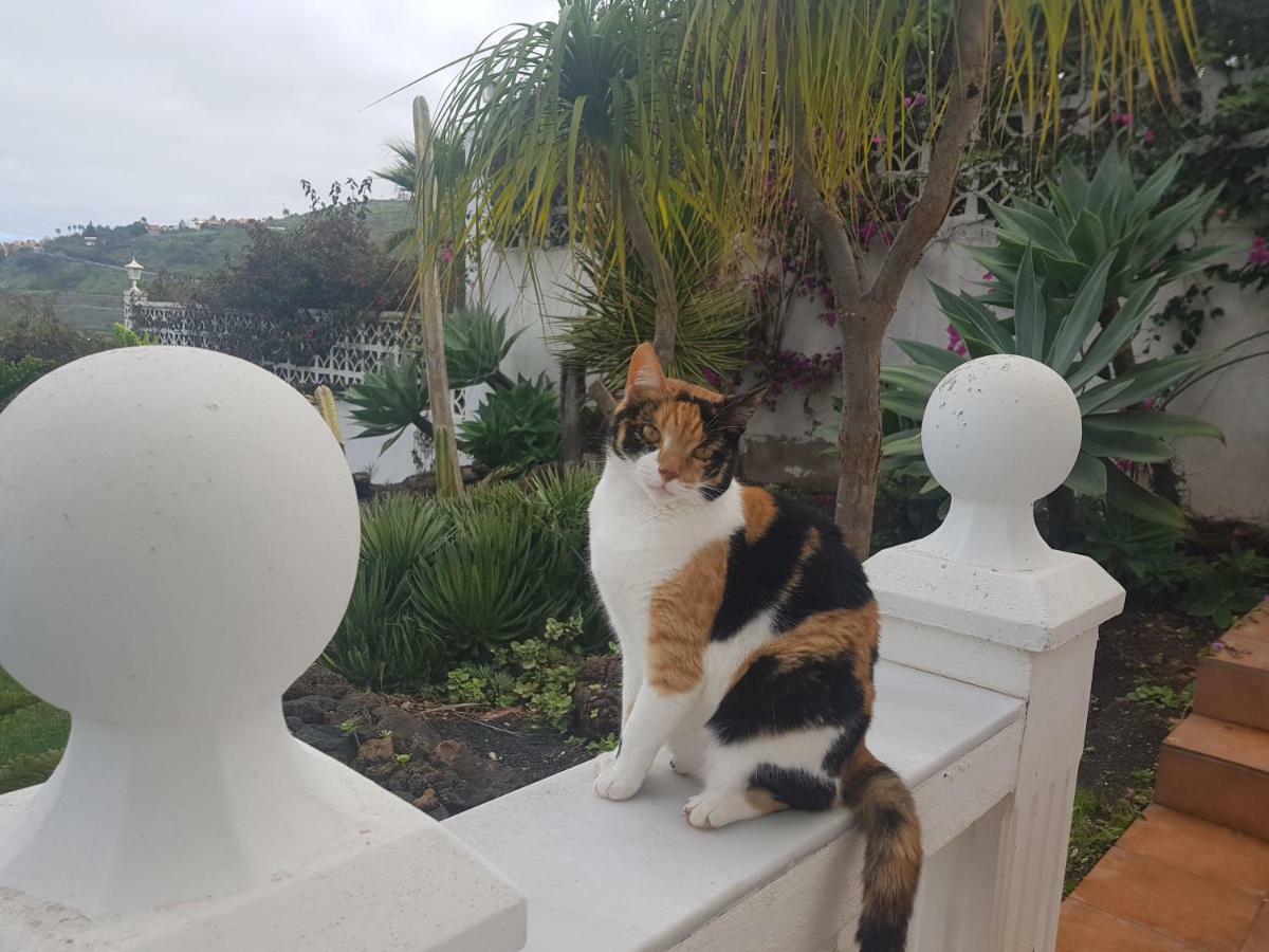 Villa Larnia De Tenerife Саузал Екстериор снимка