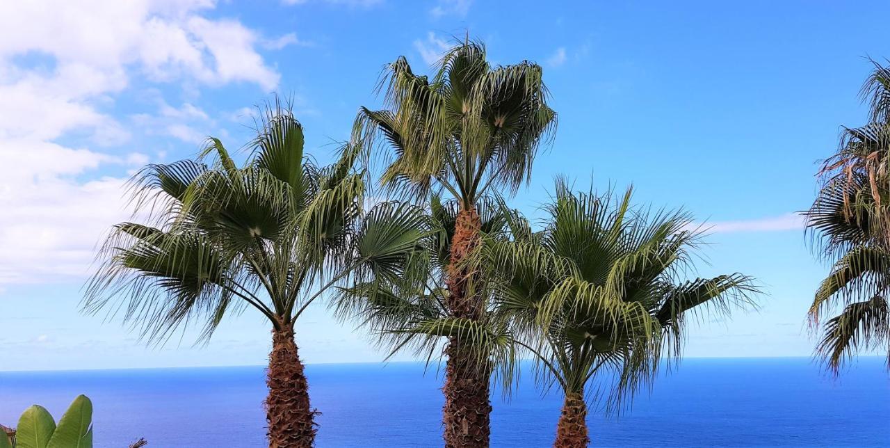Villa Larnia De Tenerife Саузал Екстериор снимка